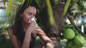 Baja Tranquilo - Villas Cerritos