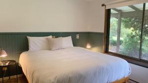 Treetop Retreat - Family Escape with Pool