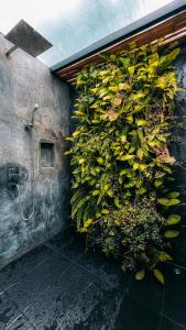 Encanto del Arco Glamping