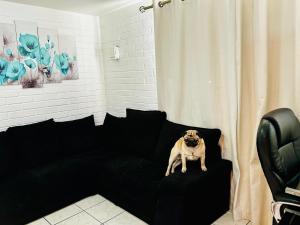 Comoda y privada Habitacion a solo pasos de metro zapadores