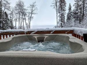 Eagles' Nest - Lakefront Private Beach Hot Tub