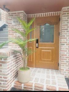 Palmtree Villa Myeongdong 201