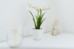 Casa di Vivi 300m from the beach Free Wifi Netflix