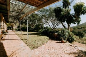 little villa in the vineyard