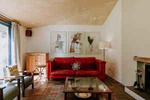 little villa in the vineyard