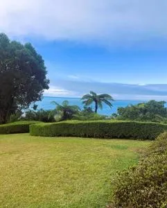 Patons Rock Cutie - Onekaka