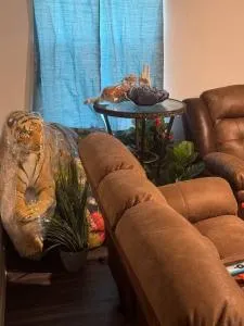 Jungle Paradise close to everything in town - Jacinto City