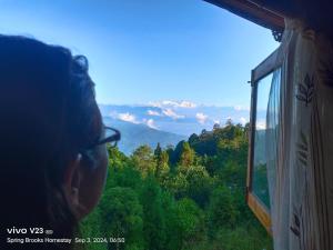 Spring Brooks Homestay