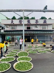 天隆民宿Tian Long Tea Farm HomeStay - Lo-yeh-ts'un