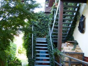 Seeadler - Ferienwohnung