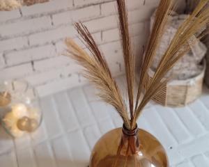 Blois City - Le Petit Louis XII