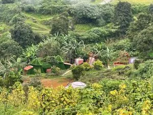 Kodaikanal dinosaur park and resorts, mannavanur - Kūkkāl