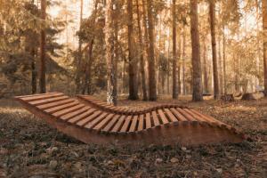 Miško terapija po egle