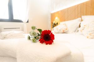 Appartements La Confortable - Spacieux T3 familial 6pers - Bonn-appartts-sur-Seine : photos des chambres