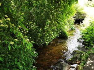 Appartements Rez de jardin en bordure de ruisseau : photos des chambres