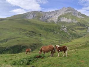 Appartements Ossau T2 5 personnes tt confort climatisation piscine linge de maison inclus moustiquaires vue montagne plein sud : photos des chambres