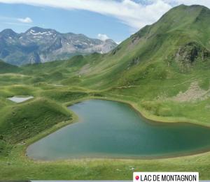 Appartements Ossau T2 5 personnes tt confort climatisation piscine linge de maison inclus moustiquaires vue montagne plein sud : photos des chambres