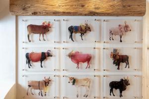 Cà Bianca delle Dolomiti