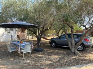 Marys House Entire residence Olympiada Halkidiki Near to Sea 200m !