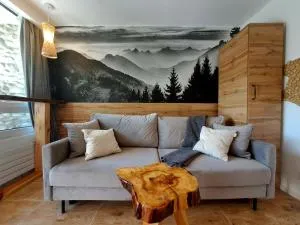 Apartament Piętnastka Ustroń - Kępka Wyzna