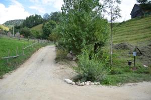 Magura Rustic Tiny House