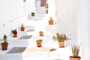 Marias House - Chamezi