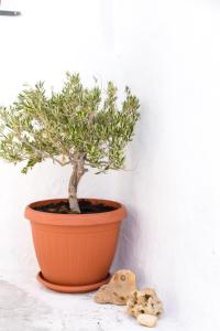 Marias House - Chamezi