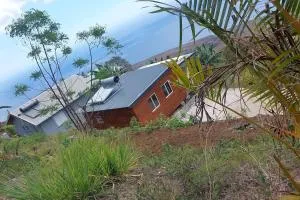 wall nature et sensation - La Fontaine