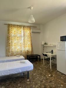 Estudio 213 Carihuela