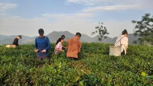 Đức Tới Farmstay