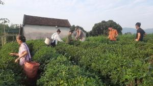 Đức Tới Farmstay