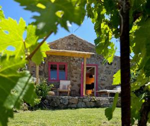 Lillys Finca - romantischter Rückzugsort - Pool