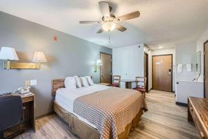 Queen Room - Disability Access/Non-Smoking room in Travelodge by Wyndham Longmont