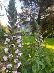 B&B / Chambres d'hotes CH1- MANOIR DU MOULINIER - Campagne - Calme - Petit-dej inclus - Table d-hote sur reservation - Parking gratuit : photos des chambres