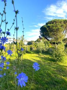B&B / Chambres d'hotes CH1- MANOIR DU MOULINIER - Campagne - Calme - Petit-dej inclus - Table d-hote sur reservation - Parking gratuit : photos des chambres