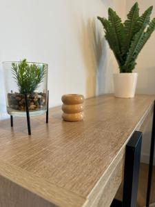 Appartements G2 Joli 2 pieces calme RDC cote jardin centre Angouleme : photos des chambres