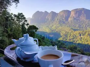 Camellia Mountain Villa - Ginigathena