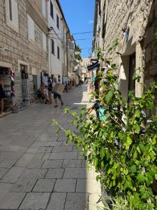 Pag Marina Vero Apartments