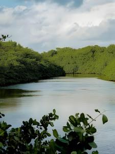 Apartamento de Luxo em Tatuamunha - A 20 Metros do Mar