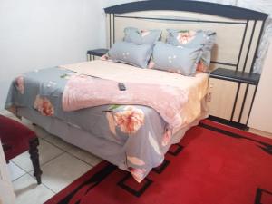 One Bedroom Apartment