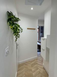 Appartements Pause Nature Terracotta : photos des chambres