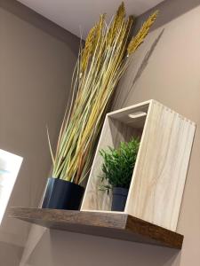 The Loft Apartman Szeged