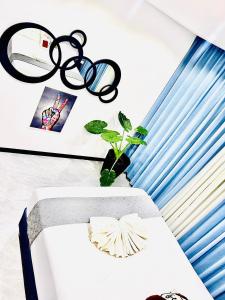 Studio 19 apartments