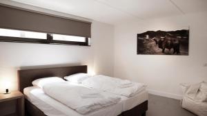 Dutchen Duynvoet Suites