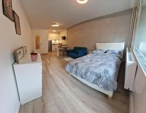 Charming new appartment near Geneva - 普雷夫桑莫昂