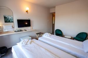 Bacolux Santis, Covasna