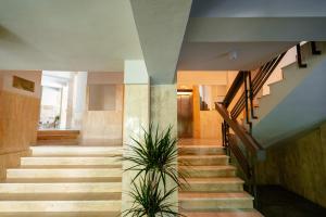 Bacolux Santis, Covasna