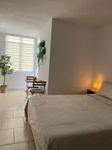 Melina Studio Apt - Blasina