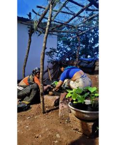 Aranya Home Stay Malvan