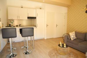Appartements Appartement - parking prive gratuit, proche centre-ville et gare de Saint-Omer : Appartement 1 Chambre avec Baignoire Spa